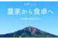 【2024年7月下旬より発送開始】樹上完熟山育ちトマト 約3kg