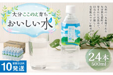 【10営業日以内発送】大分 ここのえ育ち おいしい 水 500ml×24本