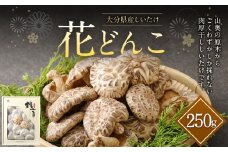 大分産 しいたけ 花どんこ 250g 肉厚 干ししいたけ きのこ