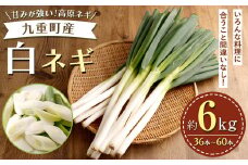 九重町産 白ネギ 約6kg (36本～60本)【2025年1月上旬まで発送予定】