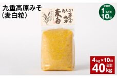 【1ヶ月毎10回定期】 九重高原みそ（麦白粒） 1kg✕4袋 計40kg （4kg✕10回） 麦みそ 味噌 白色系