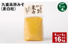 【1ヶ月毎4回定期】 九重高原みそ （麦白粒） 1kg✕4袋 計16kg （4kg✕4回） 麦みそ 味噌 白色系