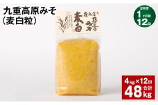 【1ヶ月毎12回定期】 九重高原みそ （麦白粒） 1kg✕4袋 計48kg （4kg✕12回） 麦みそ 味噌 白色系