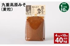 【1ヶ月毎10回定期】 九重高原みそ（麦粒） 1kg✕4袋 計40kg （4kg✕10回） 麦みそ 味噌 赤色系甘口