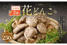 【2ヶ月定期便】大分産しいたけ花どんこ 250g 合計500g 乾燥椎茸 乾燥 しいたけ 干し椎茸 乾し椎茸 乾燥野菜 原木どんこ 花どんこ 大分県 九重町