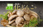 【3ヶ月定期便】大分産しいたけ花どんこ 250g 合計750g