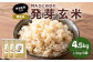 特Aひとめぼれ米 残留農薬ゼロ 発芽玄米 1.5kg×3袋(4.5kg) 