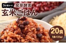 レンジ対応！ 3日寝かせ 発芽酵素 玄米ごはん (ひとめぼれ) 20食分 【常温】 玄米 大分県産