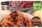 レンジ対応！ 3日寝かせ 発芽酵素 玄米ごはん (ひとめぼれ) 20食分 × 6回 【常温】 玄米 大分県産