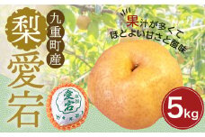  九重町産 梨 「愛宕」 約5kg 果物 フルーツ 贈答品 【2025年12月発送予定】