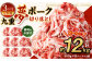 【3ヶ月定期便】 九重 夢ポーク (お米豚) 切り落とし 約 4kg (500g×8パック) × 3回 定期便 豚肉 大分県産