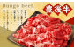 【3ヶ月定期便】豊後牛 切り落とし 1.2kg (600g×2) × 3回 牛肉 大分県産 国産 焼肉 ステーキ 霜降り