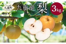 九重産 3L以上 梨 約3kg （二十世紀、あきづきのうちいずれか一種）【2025年9月発送予定】