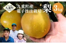  九重町産 電子技法栽培 梨 3kg 果物 大分県産 (二十世紀・豊水・あきづき・新高・新興 いずれか一種)  【2025年9月上旬-12月上旬発送予定】