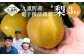 九重町産 電子技法栽培 梨 3kg