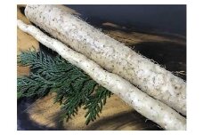 ここのえの自然薯 約1kg 長芋 山芋 とろろ 山菜 九重町産 【2025年2月下旬まで発送予定】