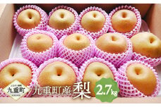 九重町産 梨 約2.7kg 豊水 新高 果物 フルーツ 大分県産 【2025年9月上旬-10月上旬発送予定】