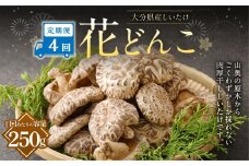 【4ヶ月定期便】大分産しいたけ花どんこ 250g 合計1,000g 乾燥椎茸 乾燥 しいたけ 干し椎茸 乾し椎茸 乾燥野菜 原木どんこ 花どんこ 大分県 九重町