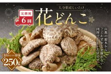【6ヶ月定期便】大分産しいたけ花どんこ 250g 合計1,500g 乾燥椎茸 乾燥 しいたけ 干し椎茸 乾し椎茸 乾燥野菜 原木どんこ 花どんこ 大分県 九重町