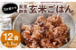 【常温】3日寝かせ発芽酵素 玄米ごはん 12食 セット （125g×12食） 玄米 ごはん