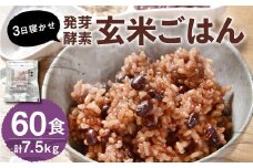 【常温】3日寝かせ発芽酵素 玄米ごはん 60食 セット （125g×60食） 玄米 ごはん