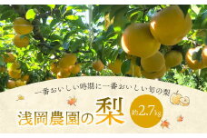 浅岡農園 の 梨 約2.7kg 豊水 秋月 新高 甘太 果物 大分県産 【2025年9月上旬-11月上旬発送予定】