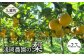 浅岡農園の梨 約2.7kg