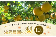 浅岡農園 の 梨 10kg 豊水 秋月 新高 甘太 果物 大分県産 【2025年9月上旬-11月上旬発送予定】