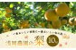 浅岡農園の梨 10kg 