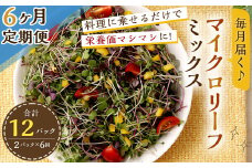 【6回定期便】 マイクロリーフミックス 1回あたり約140g（70g×2個）合計 約840g サラダ 野菜 大分県 九重町産 定期便