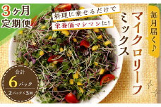 【3回定期便】 マイクロリーフミックス 1回あたり約140g（70g×2個）合計 約420g サラダ 野菜 大分県 九重町産 定期便