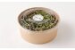 【3回定期便】 マイクロリーフミックス 1回あたり約140g（70g×2個）合計 約420g 