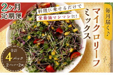 【2回定期便】 マイクロリーフミックス 1回あたり約140g（70g×2個）合計 約280g サラダ 野菜 大分県 九重町産 定期便