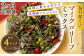 【2回定期便】 毎月届く マイクロリーフミックス 約140g 