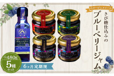 【6ヶ月定期便】きび糖 仕込みの ブルーベリー ジャム 5種 セット 各90g×1瓶 ブルーベリージャム りんごジャム 瓶詰め 瓶