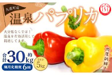 【隔月6回定期便】 大分県 九重町産 温泉パプリカ 計約30kg（約5kg×6回）パプリカ 野菜 やさい