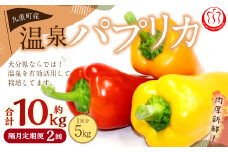 【隔月2回定期便】 大分県 九重町産 温泉パプリカ 計約10kg（約5kg×2回） パプリカ 野菜 やさい