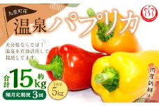 【隔月3回定期便】 大分県 九重町産 温泉パプリカ 計約15kg（約5kg×3回） パプリカ 野菜 やさい