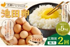 【隔月2回定期便】 大分県 九重町産 平飼いニワトリの池田卵 ミックスサイズ MS～LLサイズ 計約10kg（約5kg×2回） 卵 たまご 玉子 鶏卵 生卵