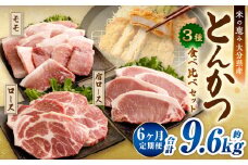 【6ヶ月定期便】 とんかつ 3種食べ比べセット 大分県産 豚肉 約1.6kg ×6回 合計9.6kg 【米の恵み】 ロース 肩ロース モモ トンカツ