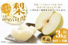 【秀品】 九重町産 梨 詰め合わせ 約3kg （約6～8個） なし ナシ 香麗 こうれい 幸水 こうすい 豊水 ほうすい あきづき なつしずく 果物 くだもの フルーツ 【2025年8月上旬～9月下旬発送予定】