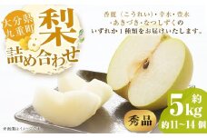 【秀品】 九重町産 梨 詰め合わせ 約5kg （約11個～14個） なし ナシ 香麗 こうれい 幸水 こうすい 豊水 ほうすい あきづき なつしずく 果物 くだもの フルーツ 【2025年8月上旬～9月下旬発送予定】