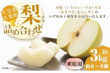 【ご家庭用】 九重町産 梨 詰め合わせ 約3kg （約6～8個） なし ナシ 香麗 こうれい 幸水 こうすい 豊水 ほうすい あきづき なつしずく 果物 くだもの フルーツ 【2025年8月上旬～9月下旬発送予定】