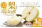 【ご家庭用】 九重町産 梨 詰め合わせ 約3kg （約6～8個）