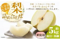 【ご家庭用】 九重町産 梨 詰め合わせ 約5kg （約11個～16個） なし ナシ 香麗 こうれい 幸水 こうすい 豊水 ほうすい あきづき なつしずく 果物 くだもの フルーツ 【2025年8月上旬～9月下旬発送予定】