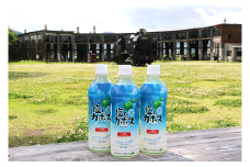 大分県産かぼすを使った「塩とカボス」 かぼす カボスドリンク 大分 かぼす果汁 塩 熱中症対策 夏 水分補給 塩分補給 冷やす さっぱり 凍らせる 香り フレッシュ フルーツ 味わい 飲み物 ドリンク 柑橘 果物