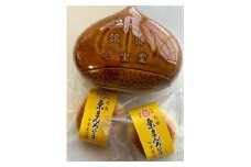 あんこ菓子いわしたの栗まんぢゅう２種詰め合わせ 大分 玖珠町 銘菓 栗まんぢゅう 昭和元年 七宝堂 甘さ控えめ さらっと口あたり 自家製こしあん 桃山 しっとり 食べ比べ 伝統 和菓子 和スイーツ スイーツ 栗 まんじゅう お菓子 専門店 名店 伝承 ふるさと