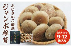 大分県産 生しいたけ 贈答用 9〜12枚入り ふじきのこ厳選！ ジャンボ 椎茸 ( 生しいたけ )  箱入り 贈答用 贈り物 肉厚 しいたけ 煮物 鍋 焼き バター醤油 トースター オーブンジューシー 冷蔵保存 菌床 