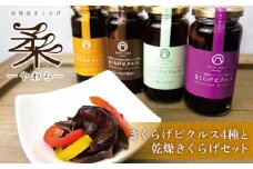 きくらげピクルス（4種）と乾燥きくらげのセット きくらげ ピクルス 乾燥きくらげ 国産 大分県 玖珠町 栽培 安全 安心 柔らか 肉厚 食感 ぬるま湯 戻し 炒め物 スタンダード 甘め 女性 人気 あっさり 唐辛子 しょうが 風味 食感 しいたけ 醤油 香り おかず おつまみ