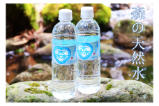 森の天然水 525ml×24本 天然水 水 飲料水 軟水 ミネラル 美容 備蓄 防災 ケイ素 シリカ 大分県 玖珠町 天然水 ミネラルウォーター ナチュラルウォーター 森 涼しい 水分補給 健康 道の駅 童話の里くす オリジナルラベル 森林 湧き水 高品質 クリーン